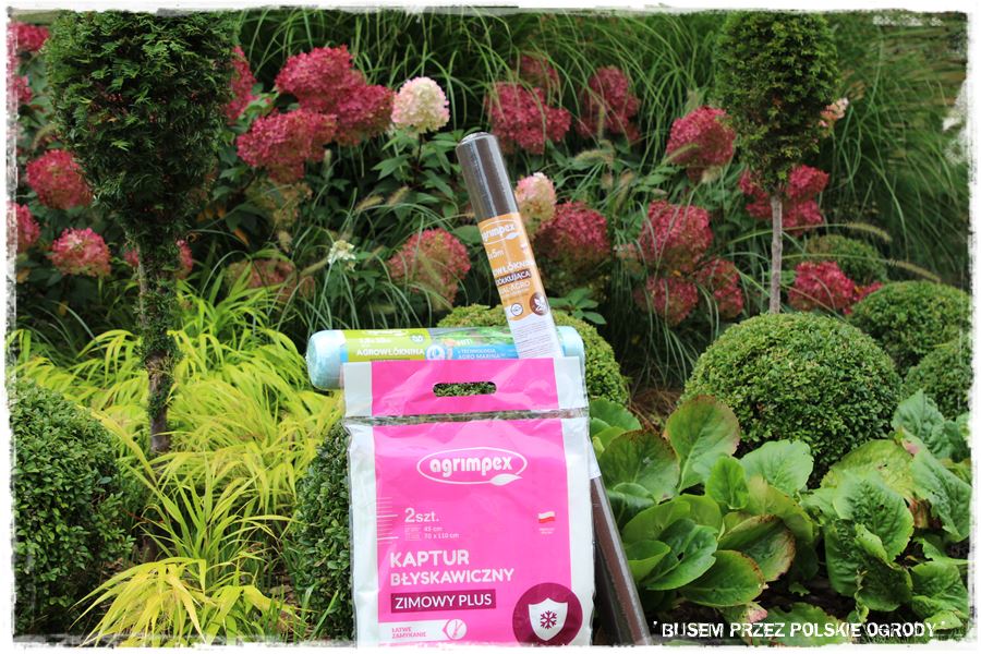 nowoczesne rabaty 203