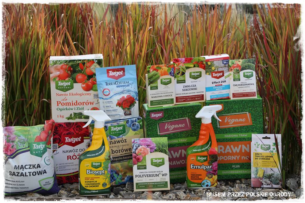 nowoczesne rabaty 204