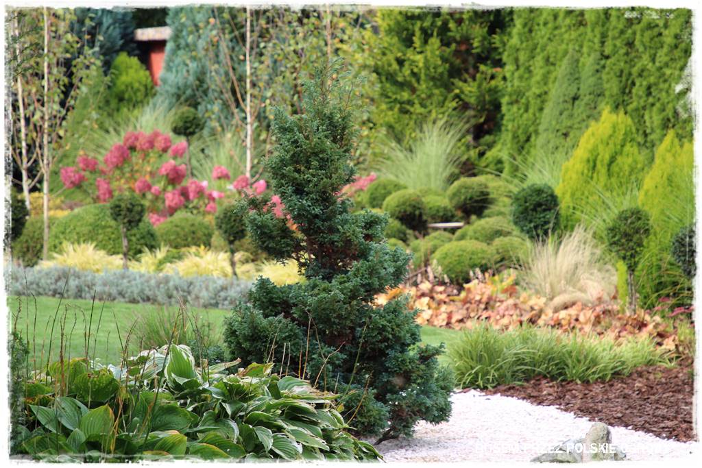 nowoczesne rabaty 3 nowoczesne rabaty 3