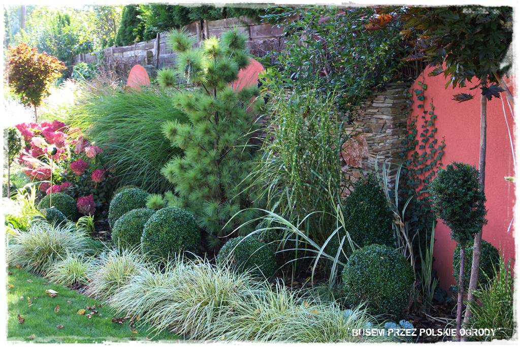 nowoczesne rabaty 30 nowoczesne rabaty 30