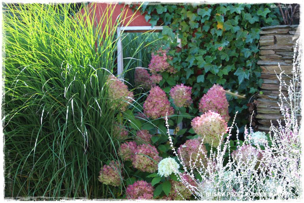 nowoczesne rabaty 31 nowoczesne rabaty 31