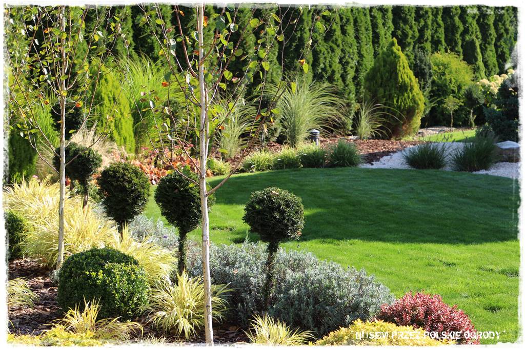 nowoczesne rabaty 46 nowoczesne rabaty 46