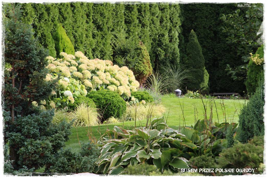 nowoczesne rabaty 49 nowoczesne rabaty 49