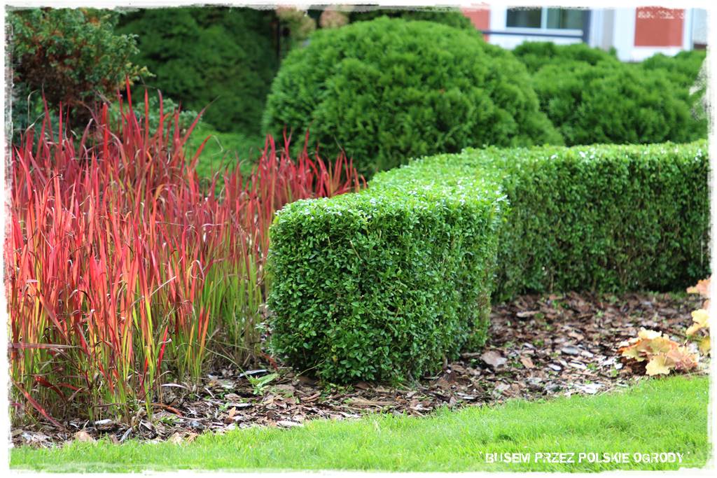 nowoczesne rabaty 52 nowoczesne rabaty 52