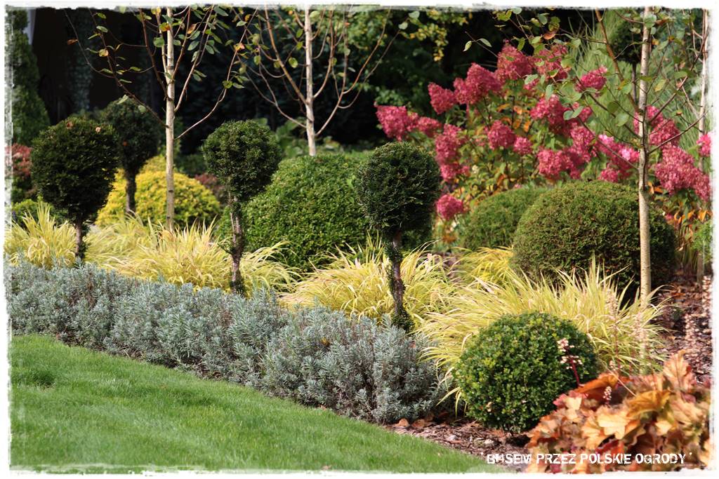 nowoczesne rabaty 55 nowoczesne rabaty 55