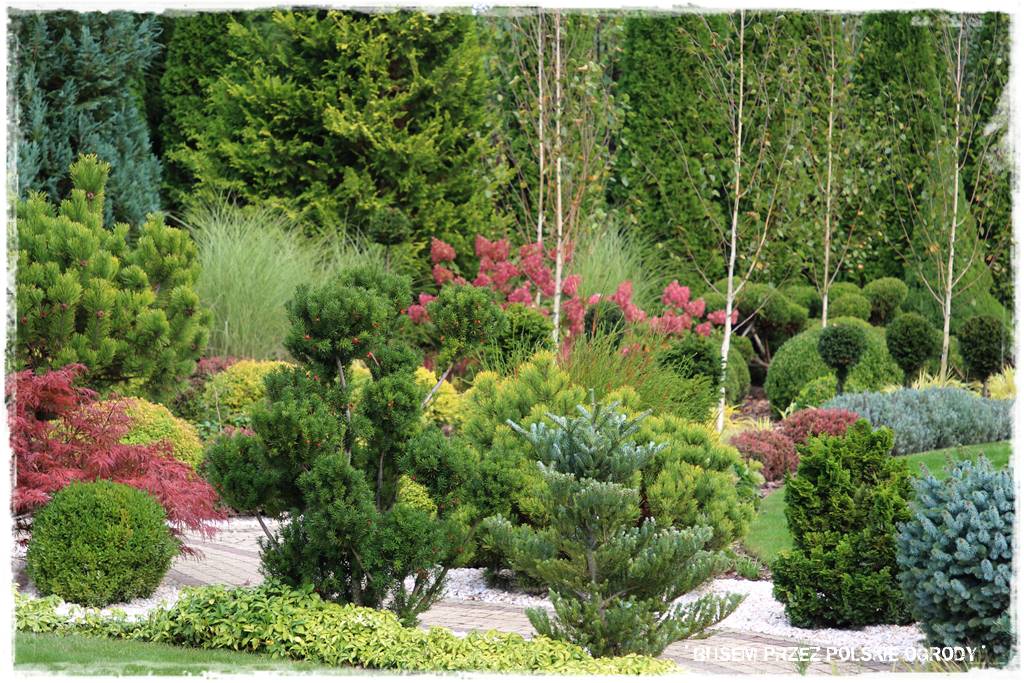 nowoczesne rabaty 57 nowoczesne rabaty 57