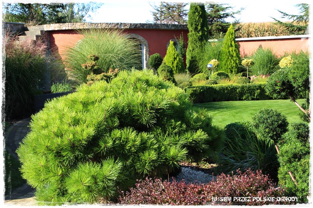 nowoczesne rabaty 58 nowoczesne rabaty 58