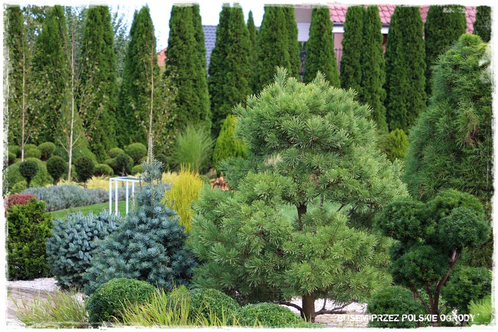 nowoczesne rabaty 59 nowoczesne rabaty 59