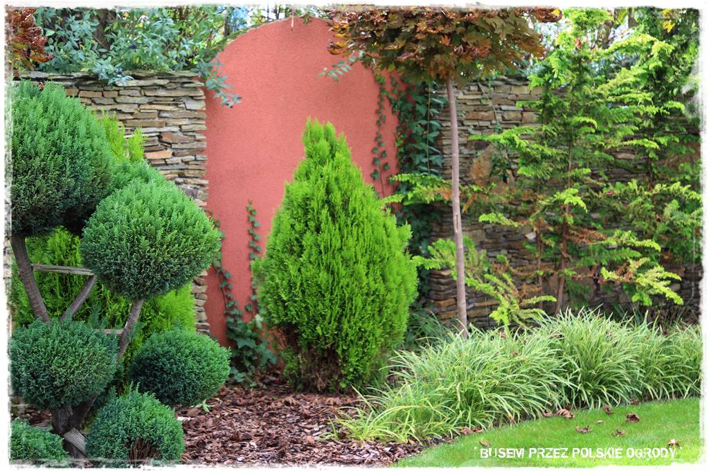 nowoczesne rabaty 6 nowoczesne rabaty 6