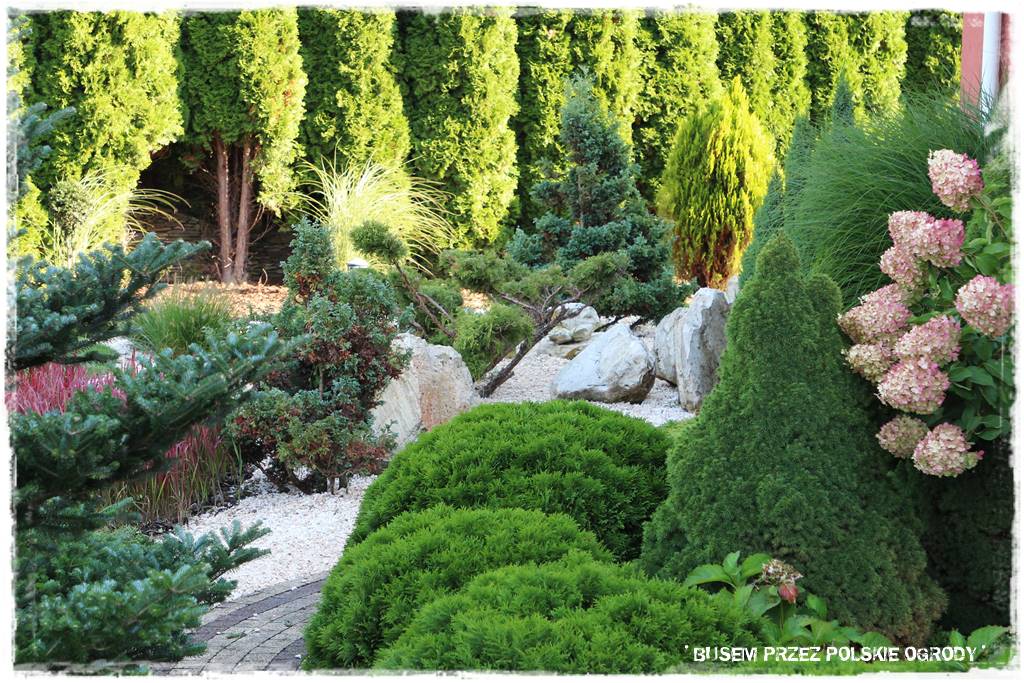 nowoczesne rabaty 61 nowoczesne rabaty 61