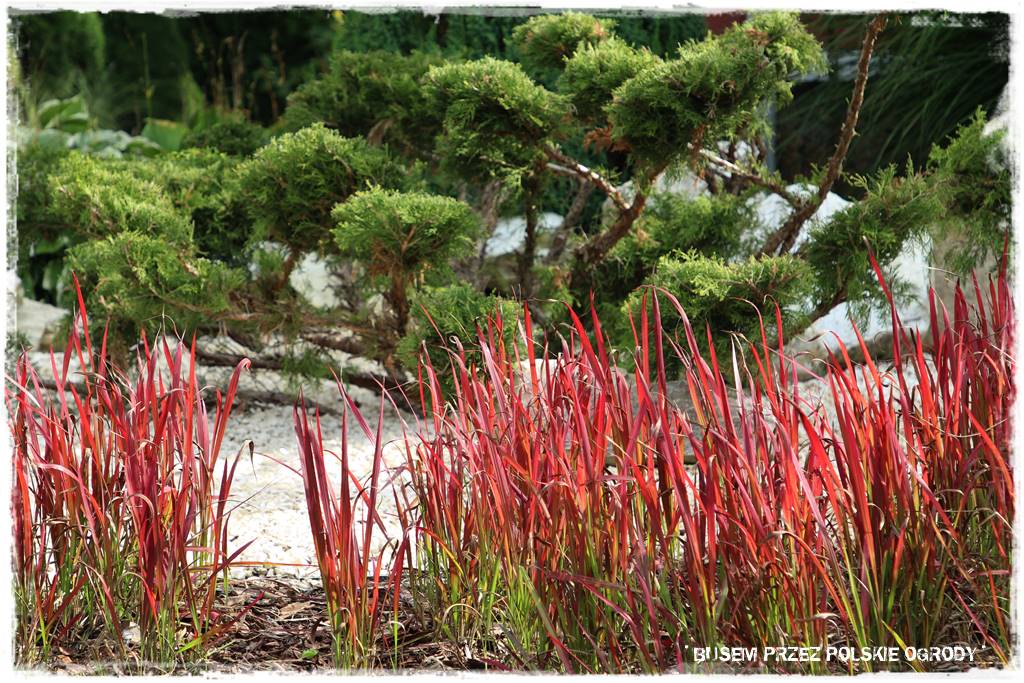 nowoczesne rabaty 62 nowoczesne rabaty 62