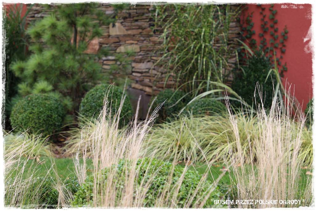 nowoczesne rabaty 63 nowoczesne rabaty 63