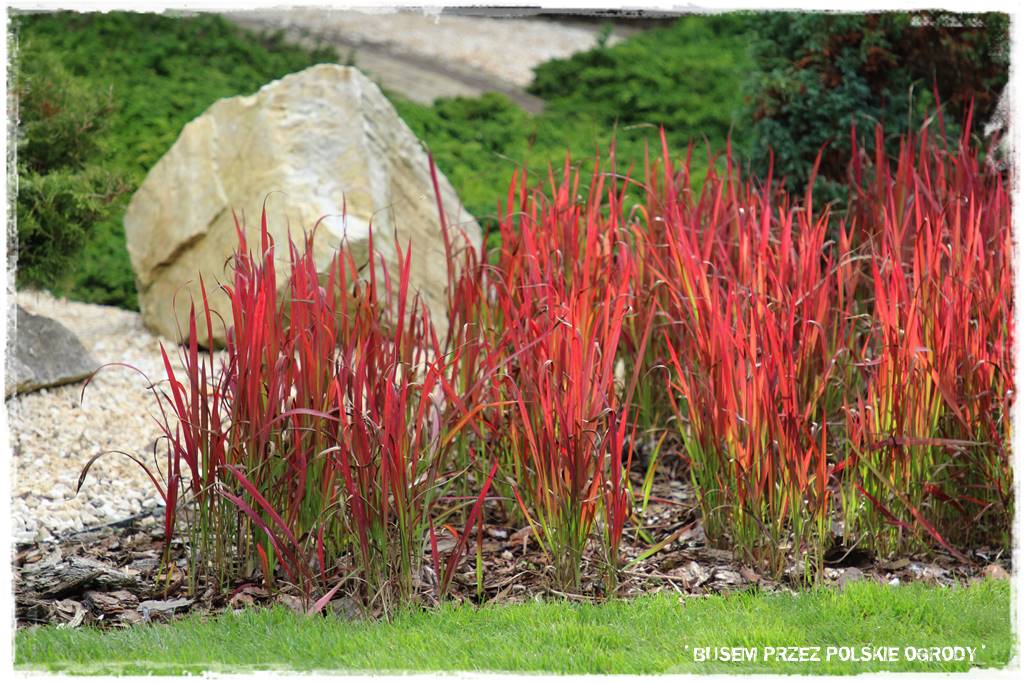 nowoczesne rabaty 67 nowoczesne rabaty 67