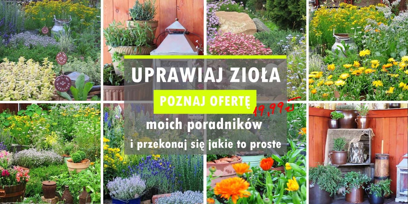 pomysł na alejki w ogrodzie 101