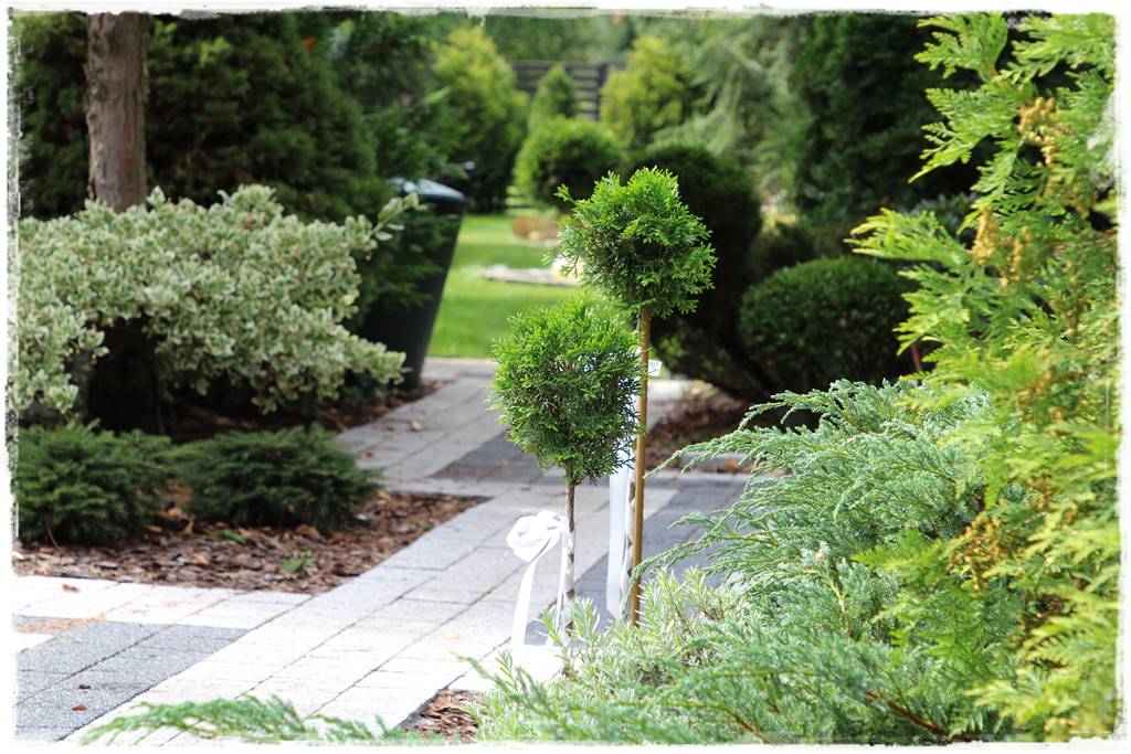 pomysł na alejki w ogrodzie 10b pomysł na alejki w ogrodzie 10b