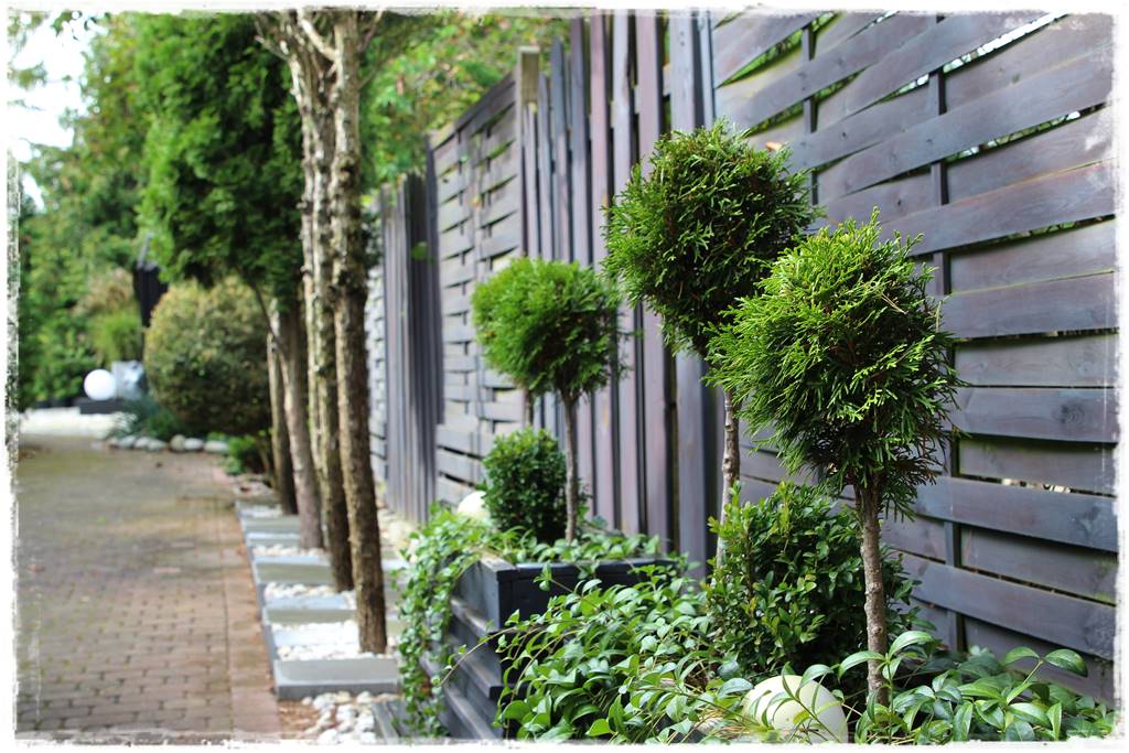 pomysł na alejki w ogrodzie 72 pomysł na alejki w ogrodzie 72