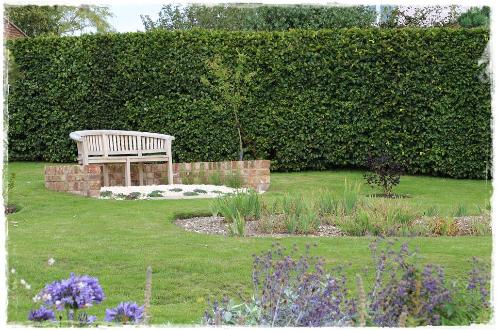 rośliny na żywopłot 10c