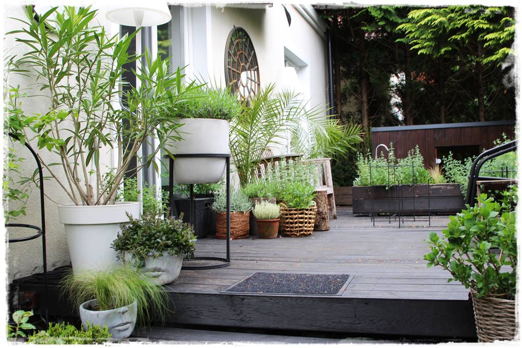 trendy tarasowe 2024 2yy trendy tarasowe 2024 2yy