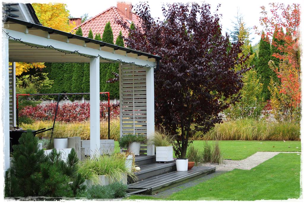 trendy tarasowe 2024 5o trendy tarasowe 2024 5o