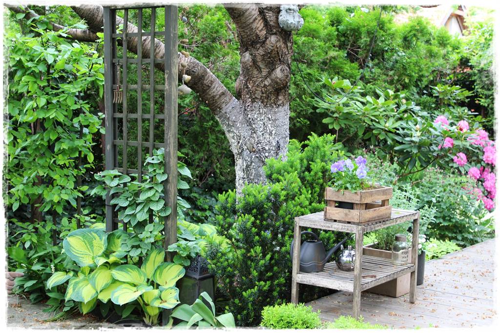 trendy tarasowe 2024 6e trendy tarasowe 2024 6e