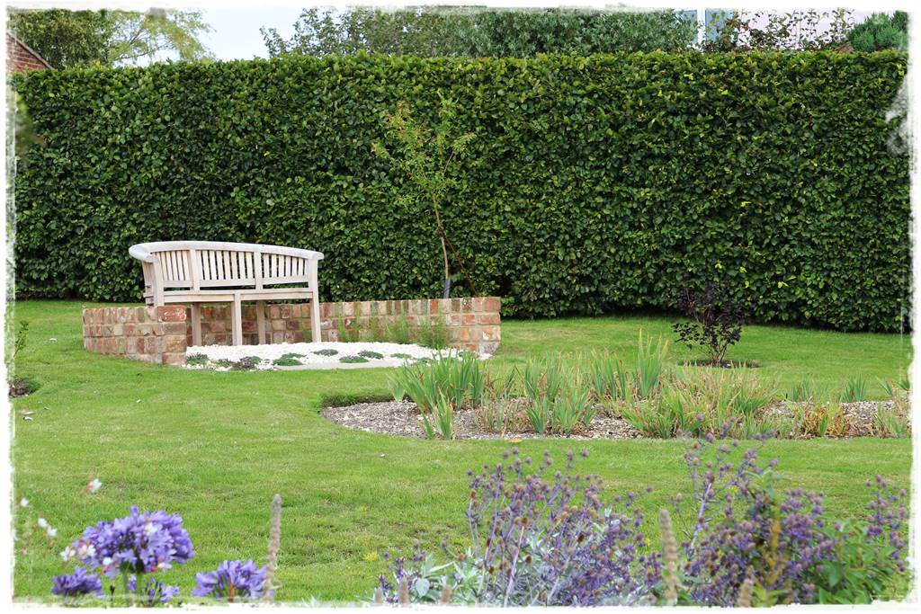 Gotowy żywopłot 2 Gotowy żywopłot 2