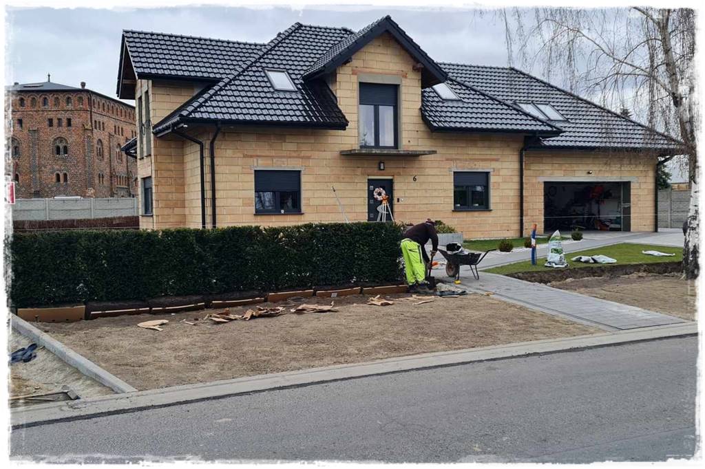 Gotowy żywopłot 23 Gotowy żywopłot 23