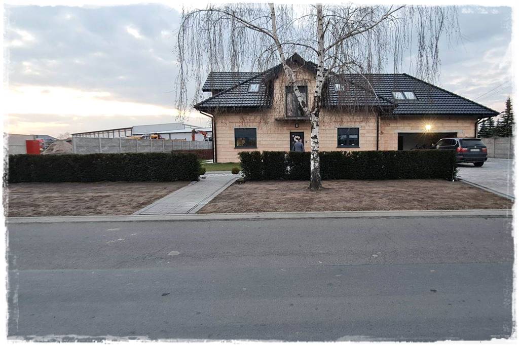 Gotowy żywopłot 25 Gotowy żywopłot 25