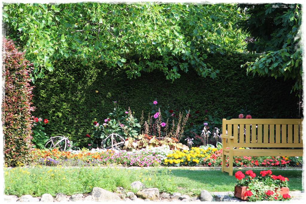 Gotowy żywopłot 7 Gotowy żywopłot 7