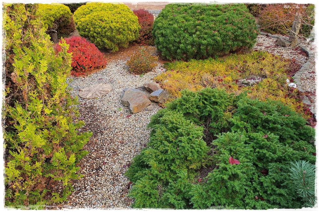 Jak wysypać kamienie w ogrodzie 1e Jak wysypać kamienie w ogrodzie 1e