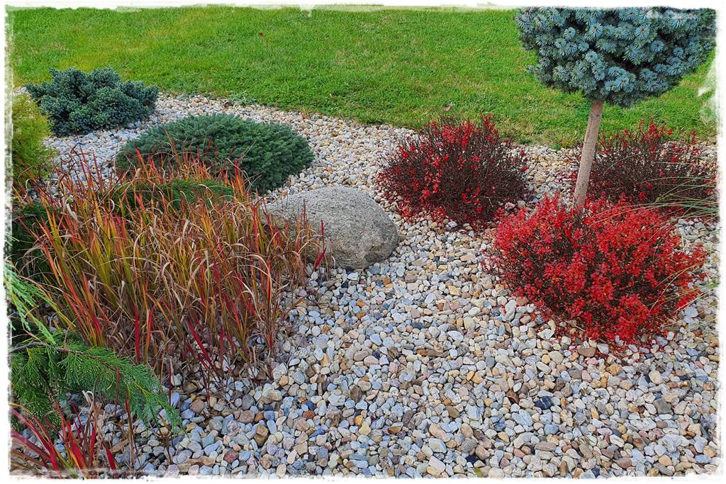 Jak wysypać kamienie w ogrodzie 1g Jak wysypać kamienie w ogrodzie 1g