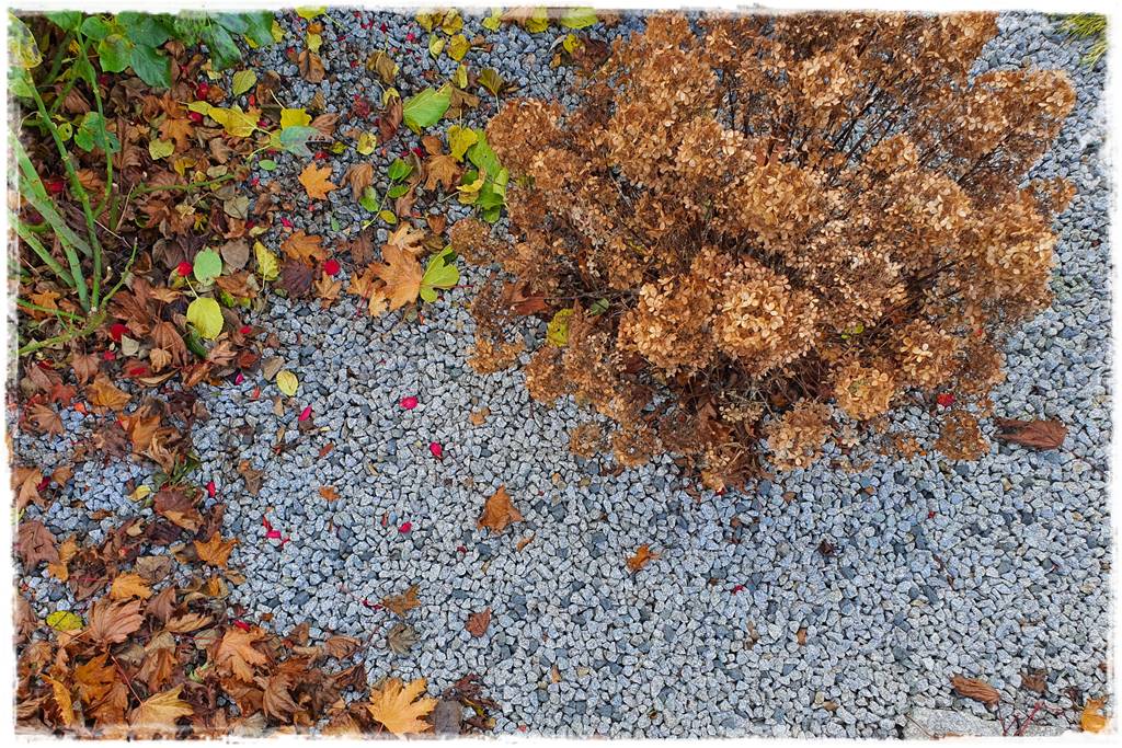 Jak wysypać kamienie w ogrodzie 1h Jak wysypać kamienie w ogrodzie 1h