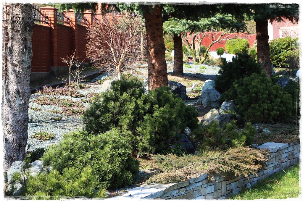 Jak wysypać kamienie w ogrodzie 1j Jak wysypać kamienie w ogrodzie 1j