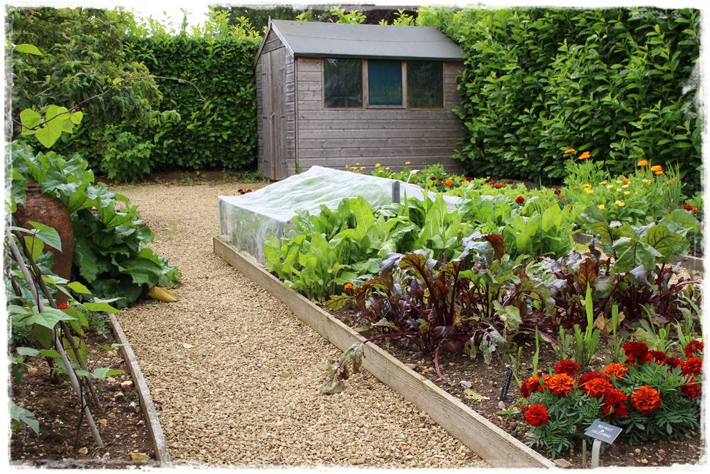 Jak wysypać kamienie w ogrodzie 2 Jak wysypać kamienie w ogrodzie 2