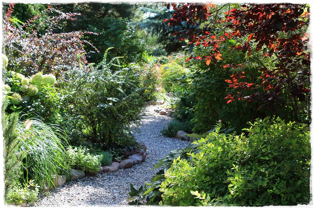 Jak wysypać kamienie w ogrodzie 2e Jak wysypać kamienie w ogrodzie 2e