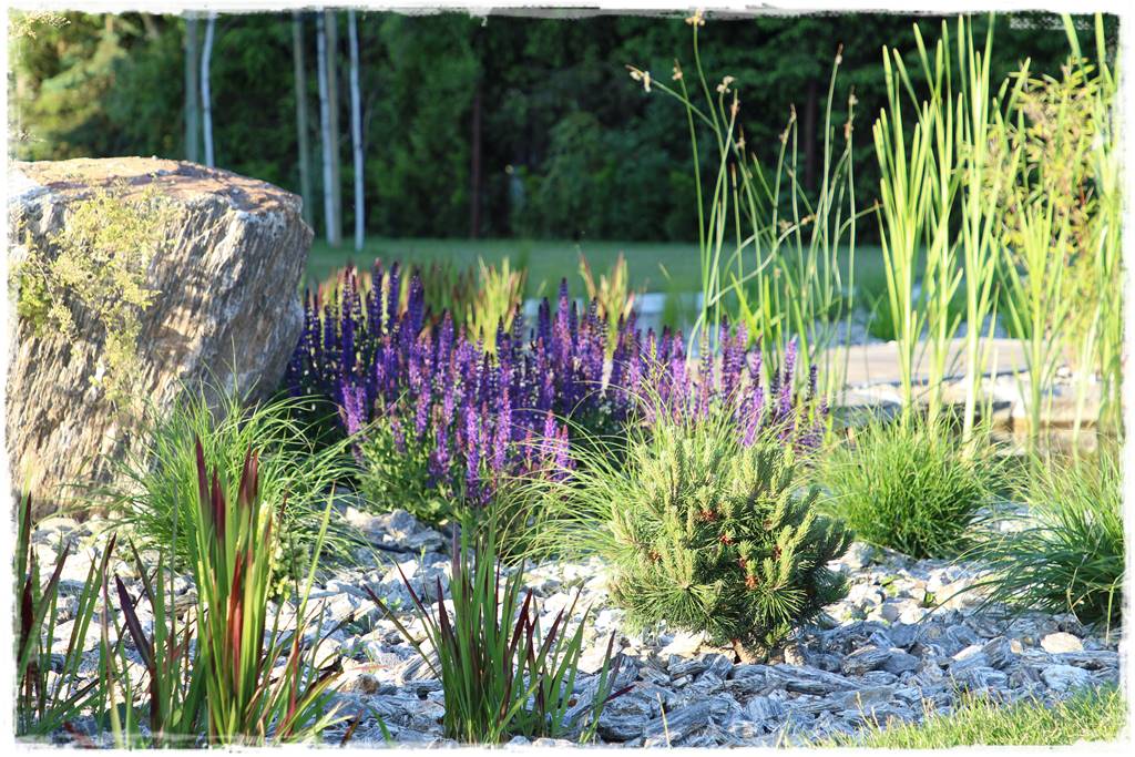 Jak wysypać kamienie w ogrodzie 4c Jak wysypać kamienie w ogrodzie 4c