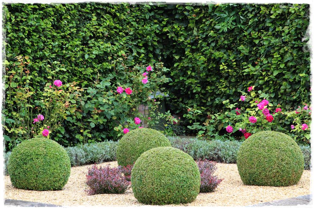 Jak wysypać kamienie w ogrodzie 5 Jak wysypać kamienie w ogrodzie 5