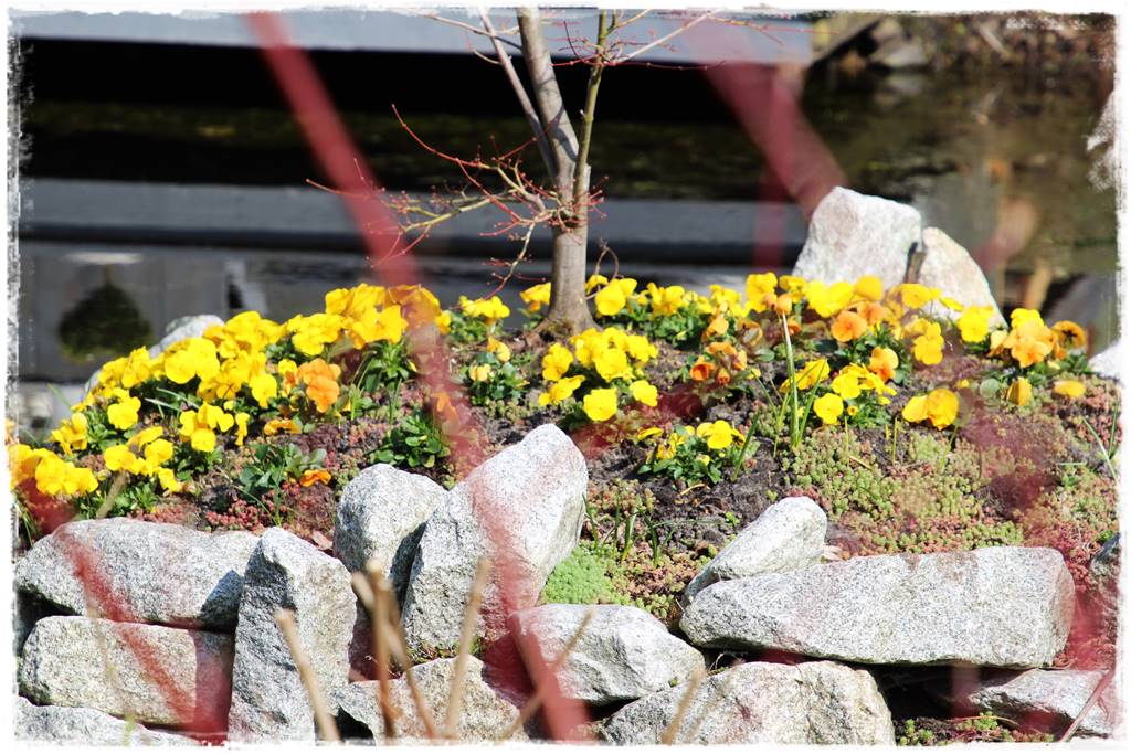 Kostka granitowa w ogrodzie aranżacje 0h