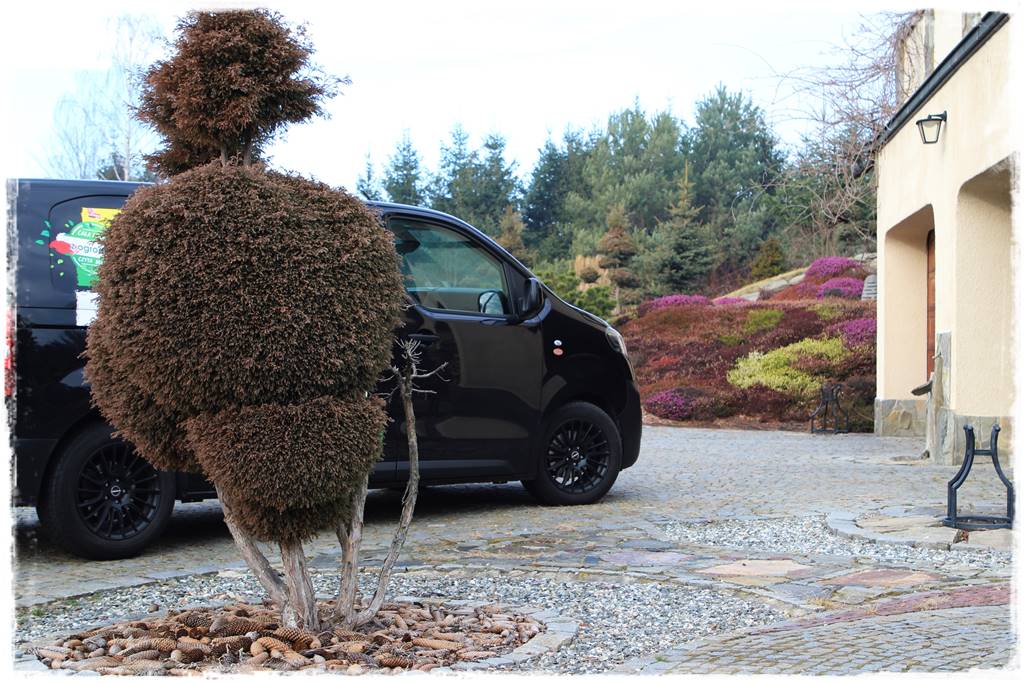 Kostka granitowa w ogrodzie aranżacje 3