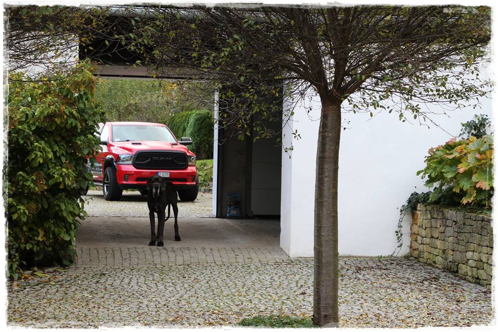 Kostka granitowa w ogrodzie aranżacje 3e