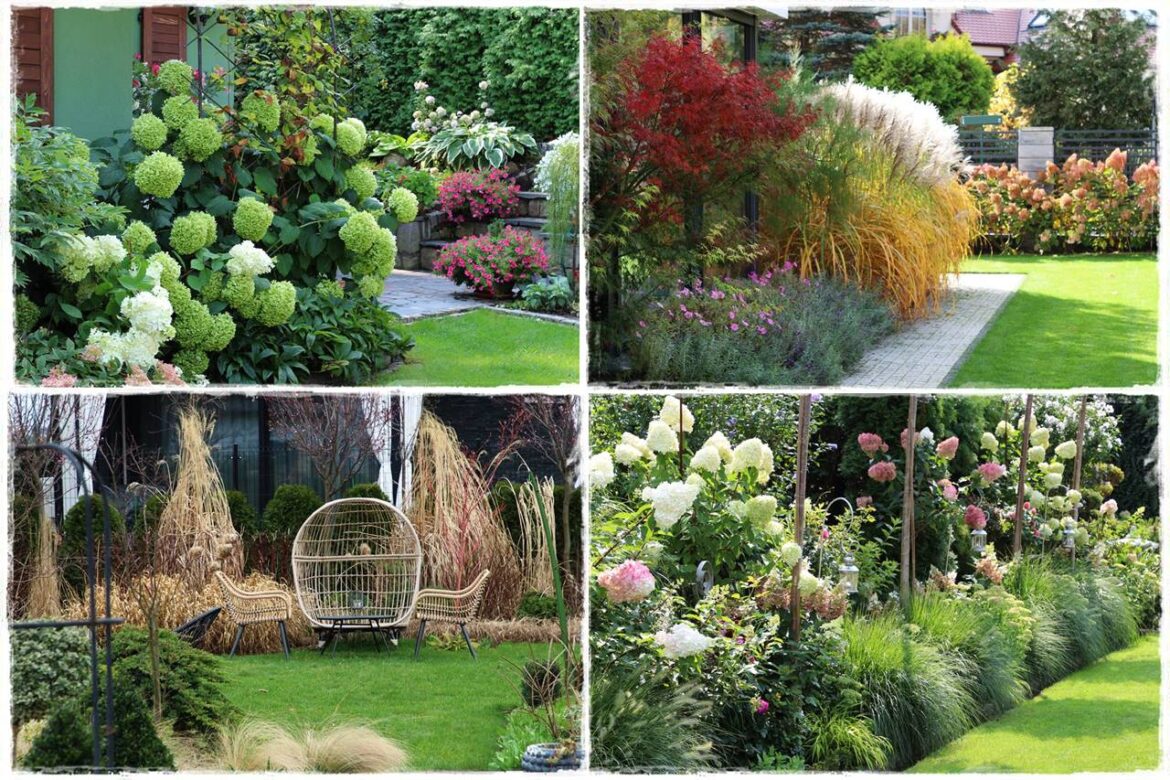 Mały ogród aranżacje 0