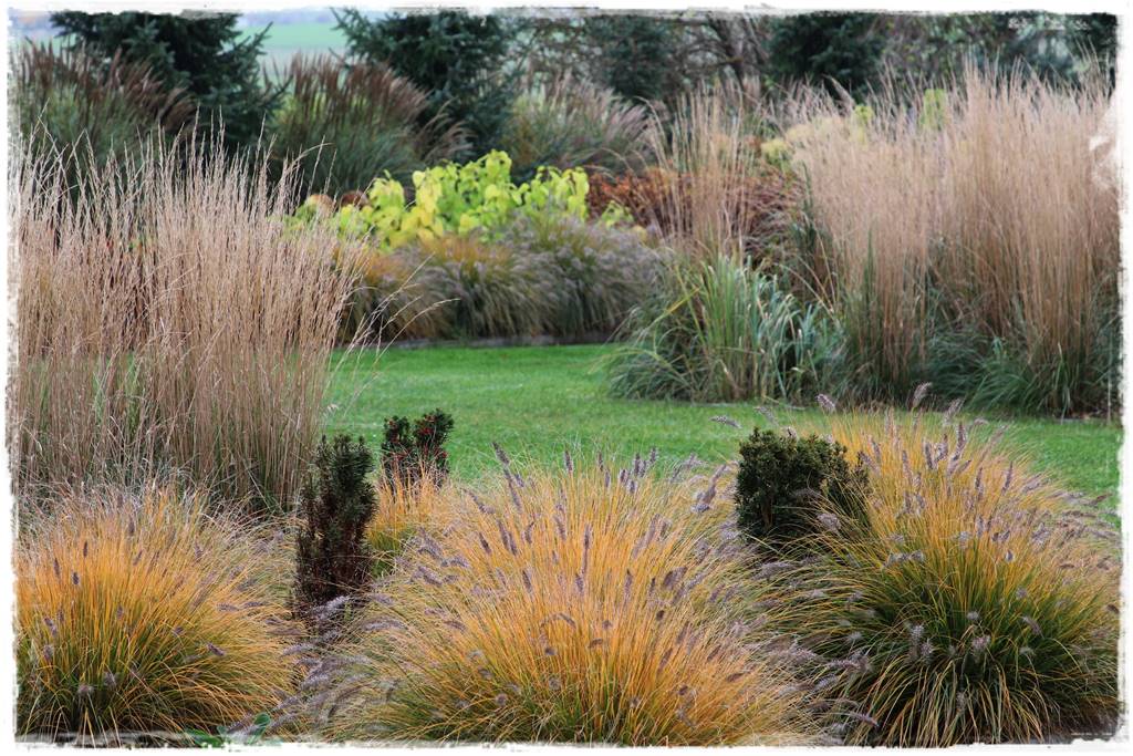 Mały ogród aranżacje 1 Mały ogród aranżacje 1