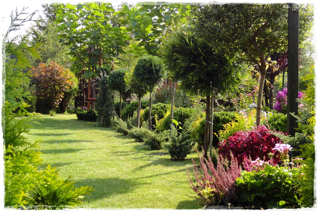 Mały ogród aranżacje 10a Mały ogród aranżacje 10a