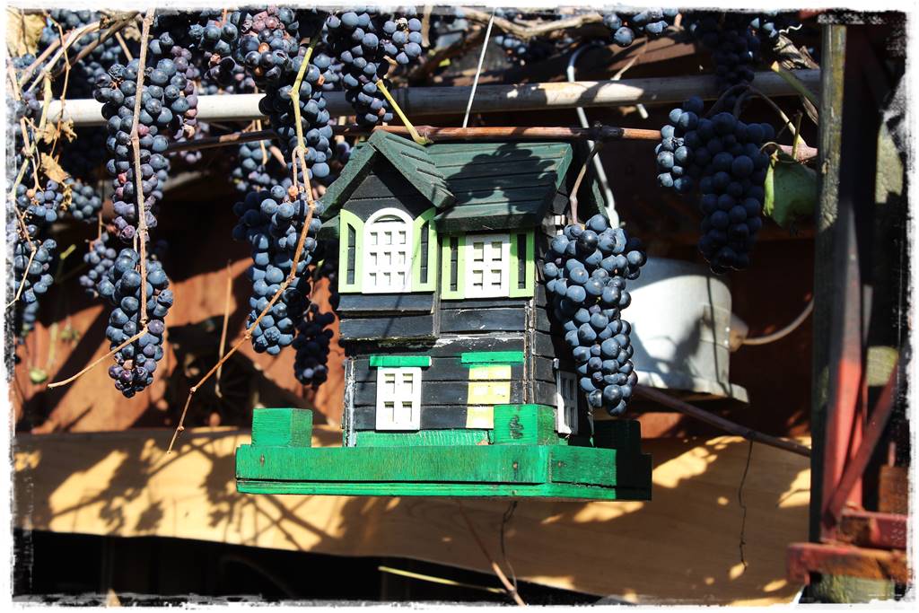 Mały ogród aranżacje 10b Mały ogród aranżacje 10b