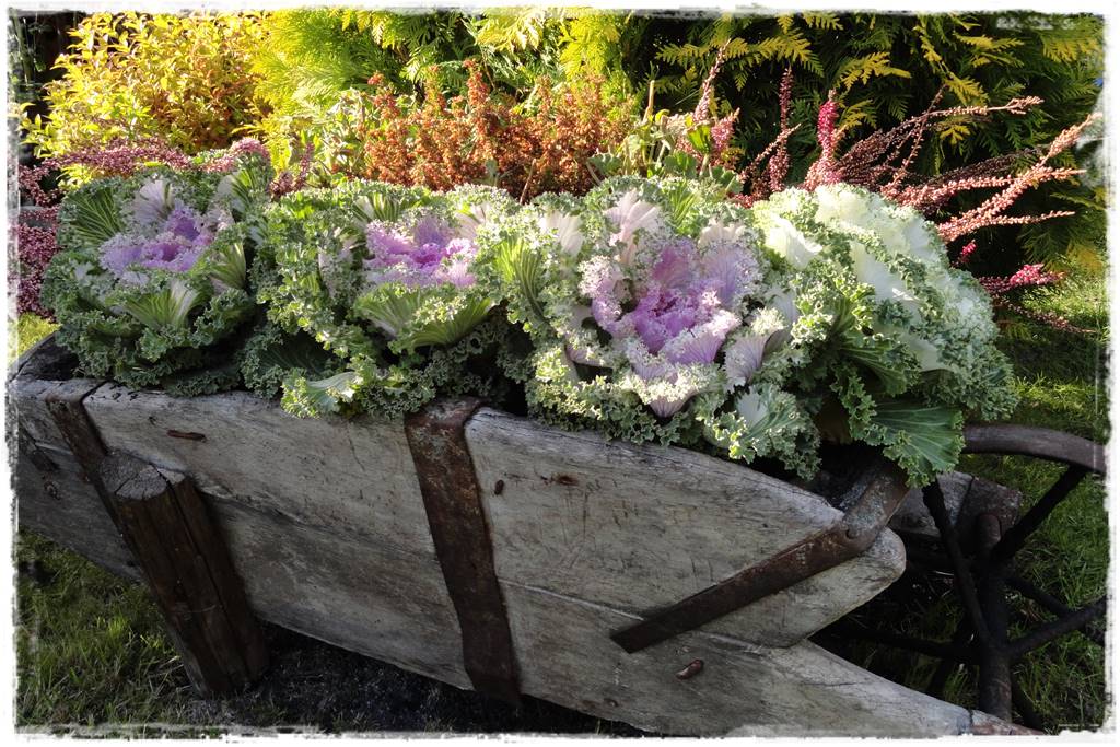 Mały ogród aranżacje 10d Mały ogród aranżacje 10d