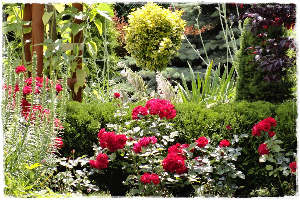 Mały ogród aranżacje 10g Mały ogród aranżacje 10g