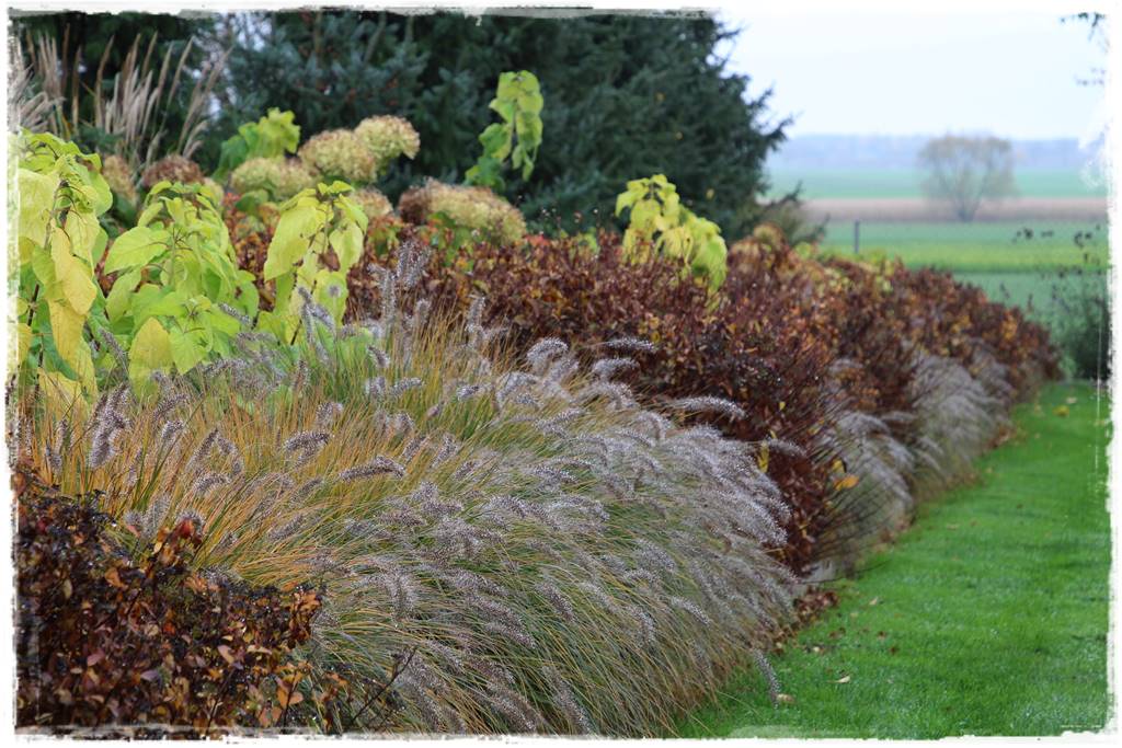 Mały ogród aranżacje 1a Mały ogród aranżacje 1a