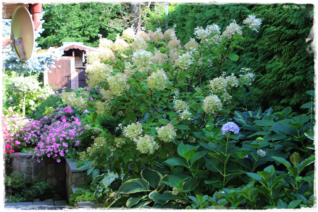 Mały ogród aranżacje 2 Mały ogród aranżacje 2