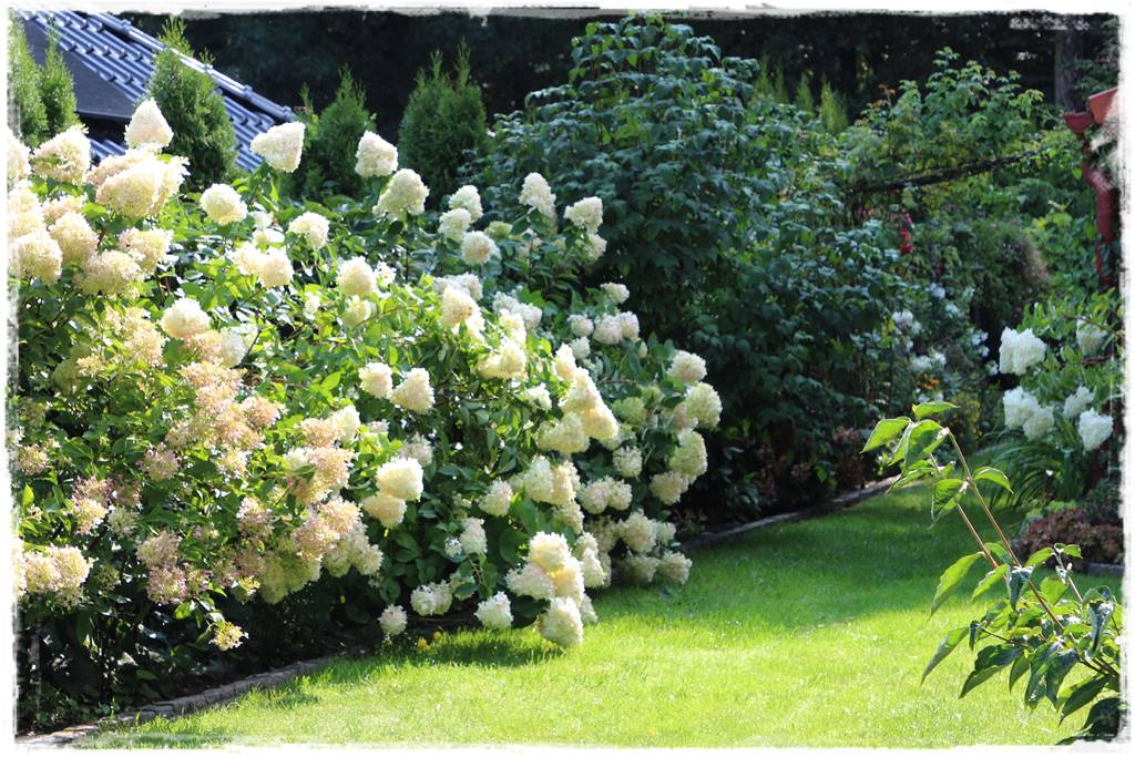 Mały ogród aranżacje 2b Mały ogród aranżacje 2b