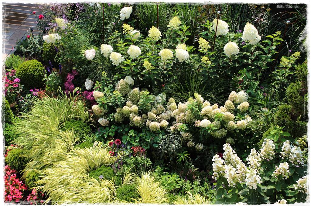 Mały ogród aranżacje 2d Mały ogród aranżacje 2d