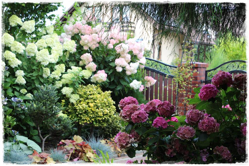 Mały ogród aranżacje 2g Mały ogród aranżacje 2g